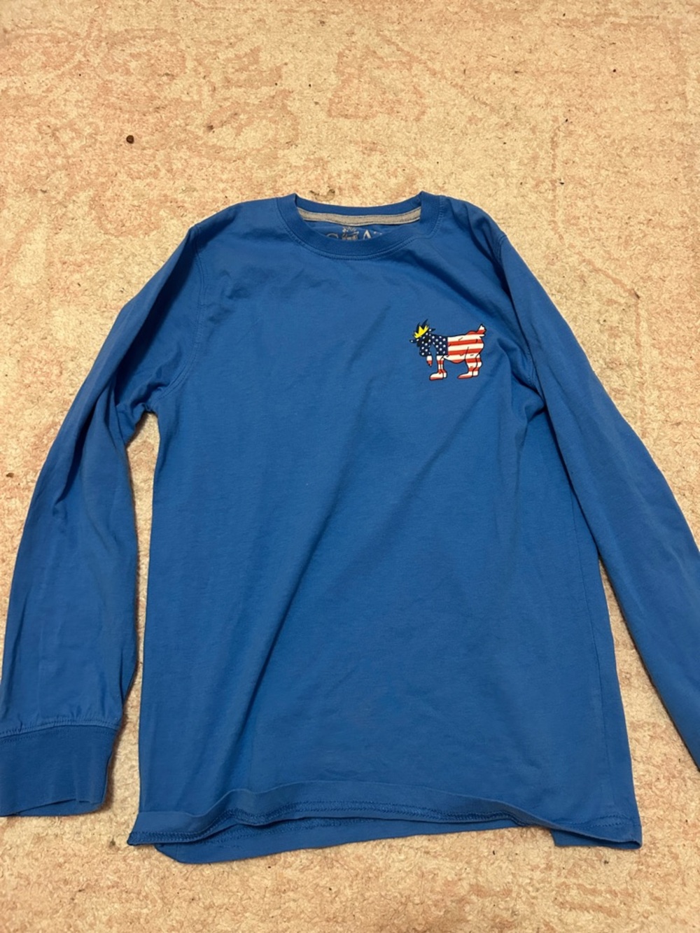 Kids Long Sleeve Tee with Patriotic Dog Graphic - Blue